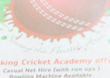 Double sided cricket and baseball flyer